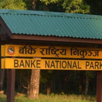 महेन्द्र राजमार्गको बाँके राष्ट्रिय निकुञ्ज पार गर्न न्यूनतम २१ देखि अधिकतम २४ मिनेट कायम!