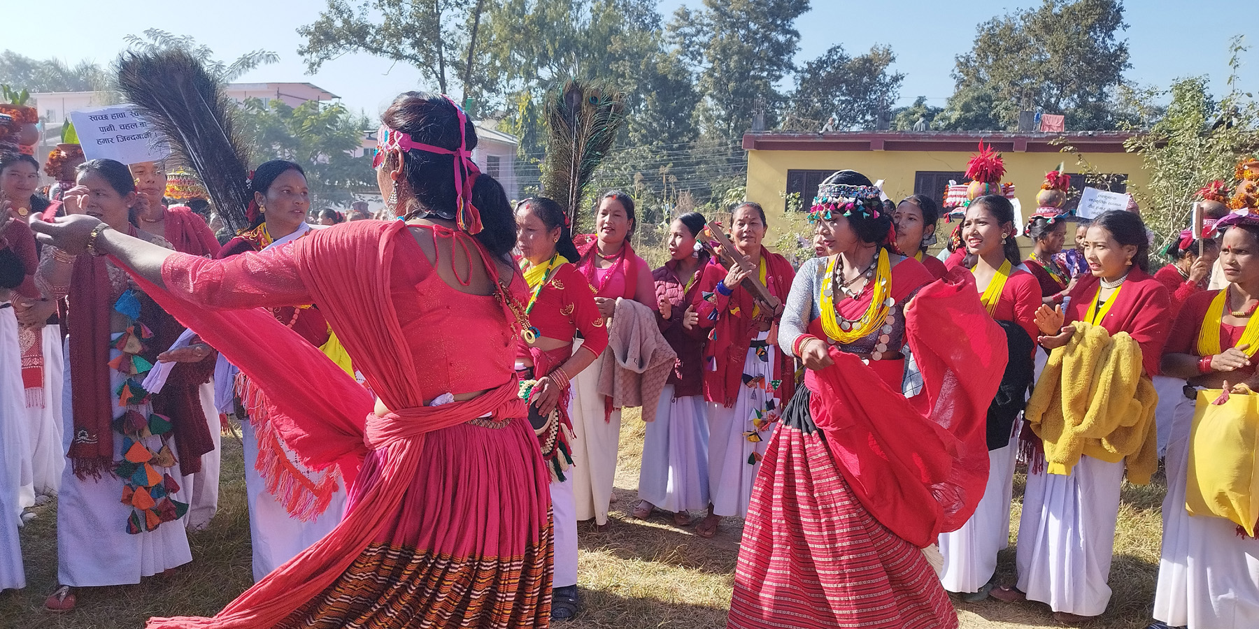 थारु नाच संरक्षणमा युवा