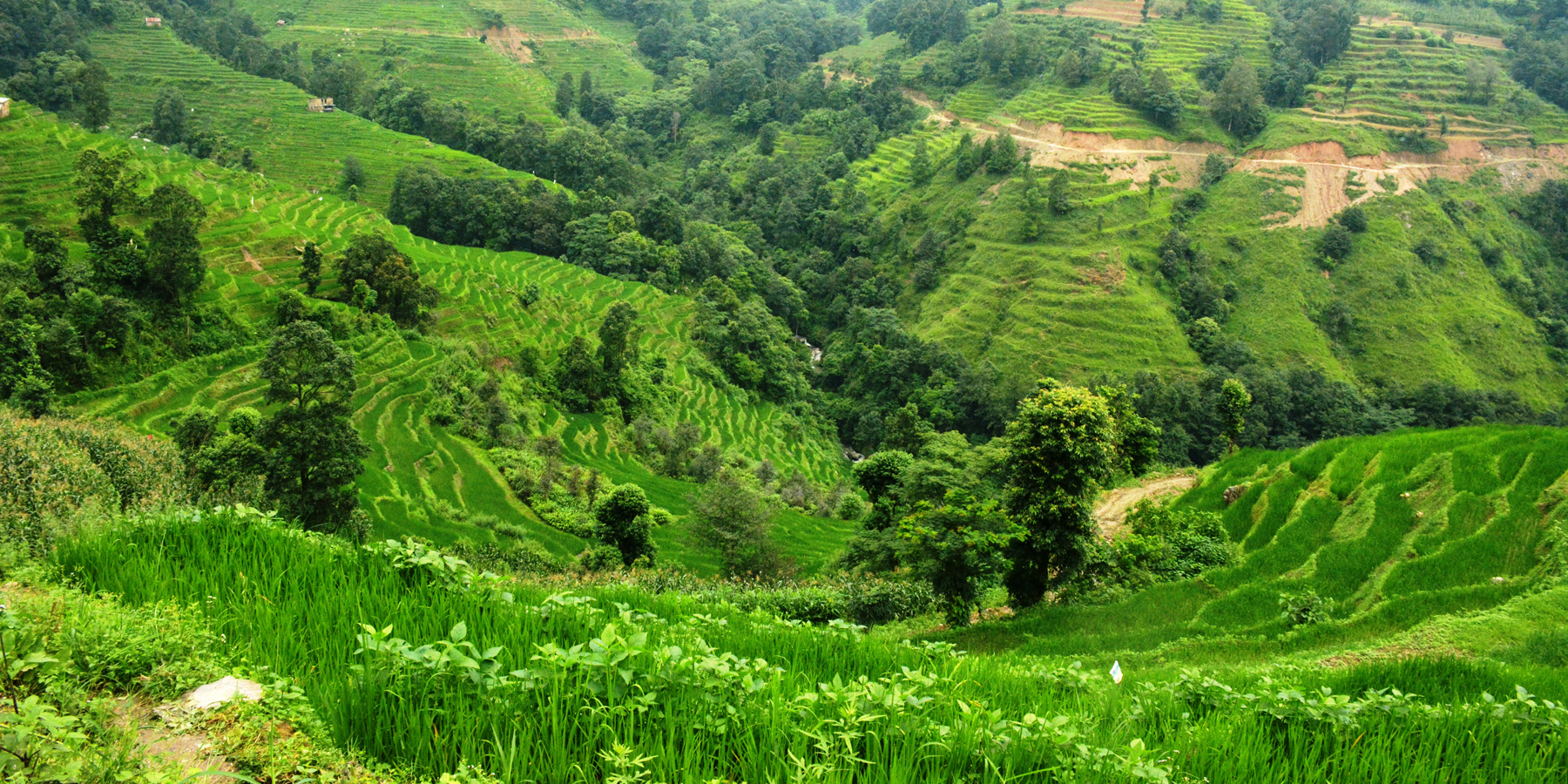 दिगो विकासका लक्ष्य सँगसँगै स्वच्छ हावा