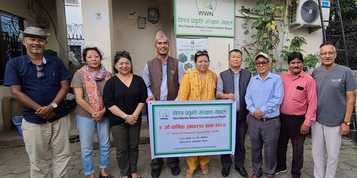 डब्ल्यूडब्ल्यूएनको अध्यक्षमा ढकाल