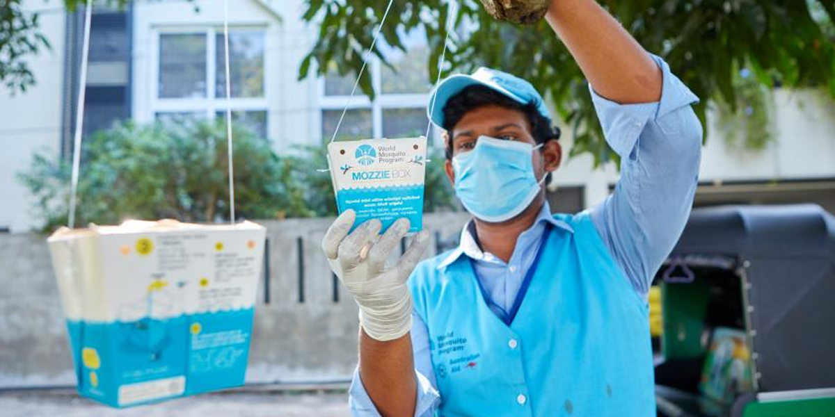 श्रीलंकामा डेंगु संक्रमितको संख्या ७० हजार नाघ्यो, ४३ जनाको मृत्यु