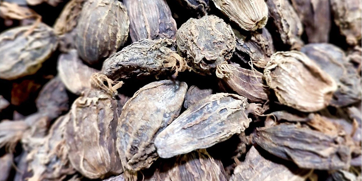 यस वर्ष लमजुङमा अलैँची बिक्रीबाट भित्रियो २४ करोड बढी