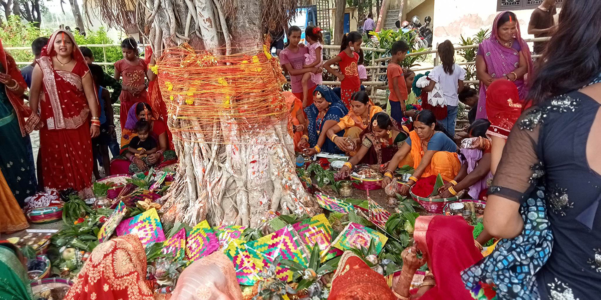 मिथिलाञ्चलमा वटसावित्री पर्व मनाइँदै