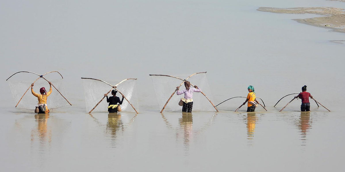 नदीमा माछा मार्दै