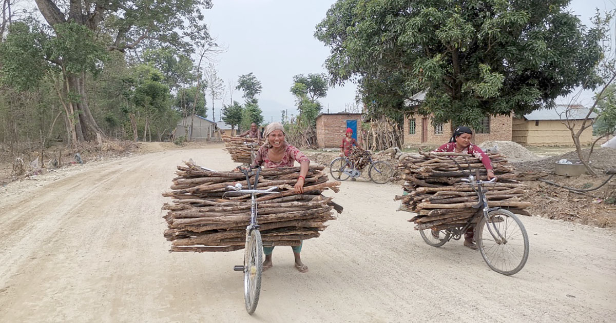 साइकलमा दाउराकाे भारी