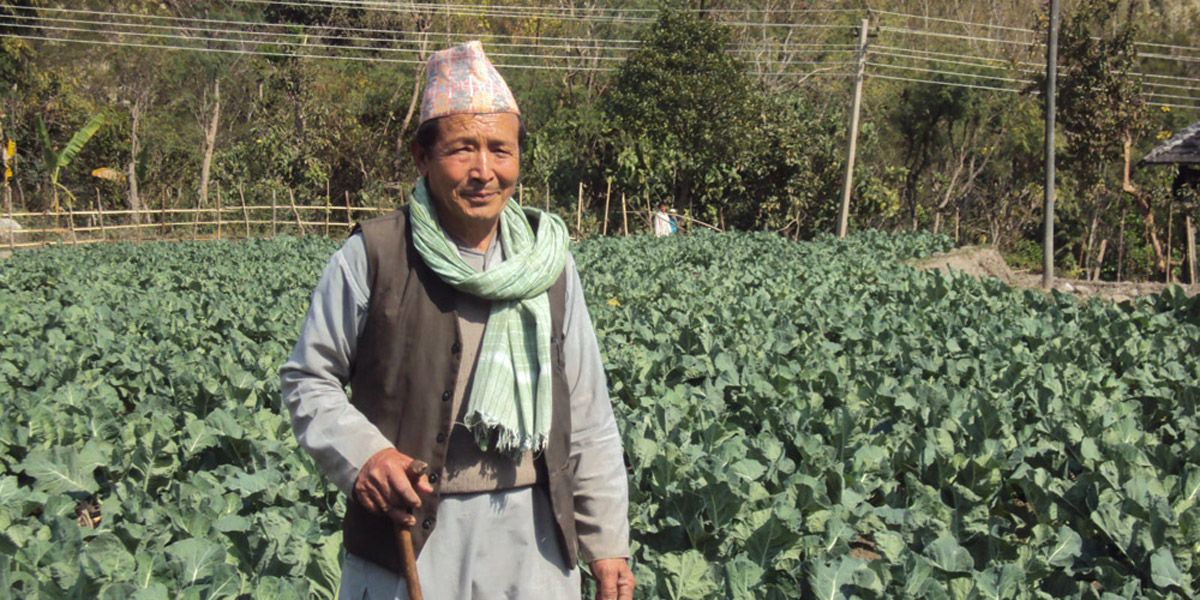 राजनीति छोडेर कृषिमा रमाइरहेका जीतुहर्क