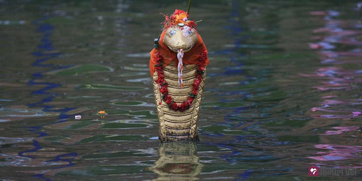 आज नागपञ्चमी, नाग पूजा गरिँदै