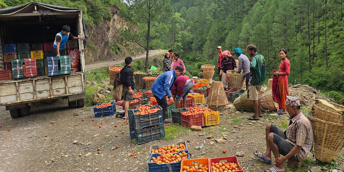 तरकारी किनमेल