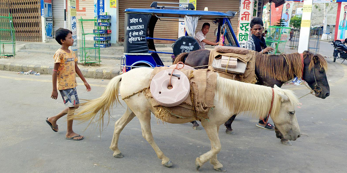 बिक्रीका लागि जाँतो, सिलौटा ढुवानी