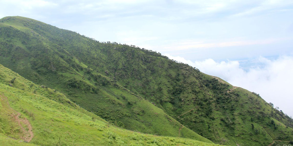 धौवादी फलाम खानी