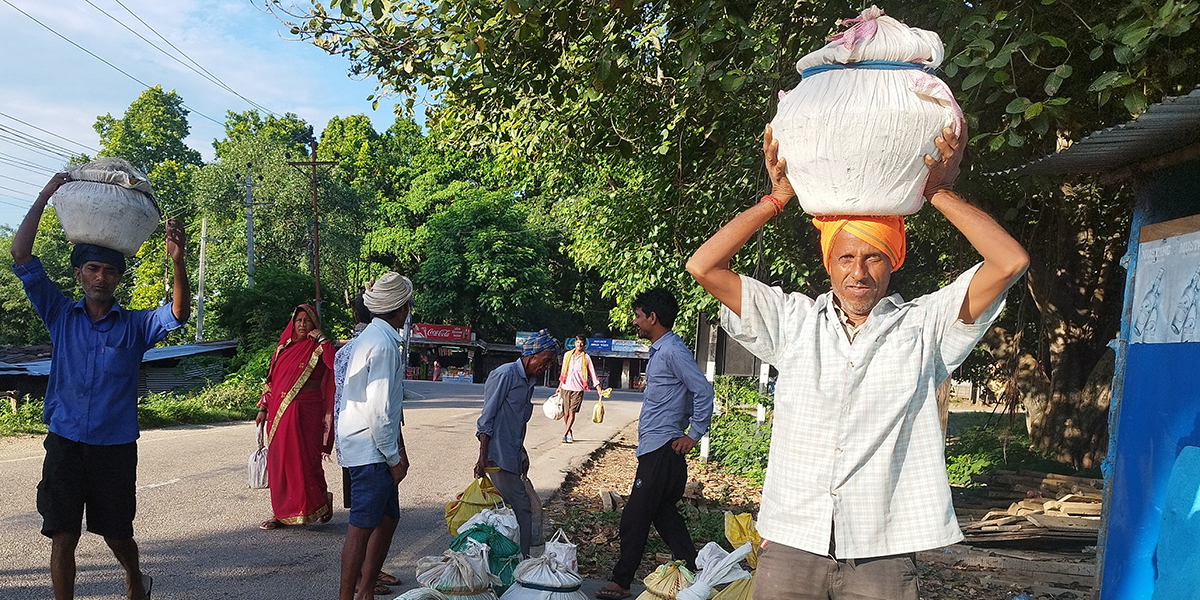 जो भैँसी पालेर गाउँमै दही बेच्छन्