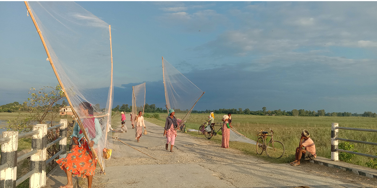 घोँगी बेचेर दैनिक ५ हजार ५ सयसम्म आम्दानी