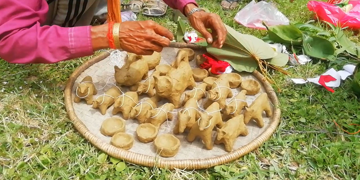 थारू समुदायद्वारा हरेरी पूजा गरिँदै