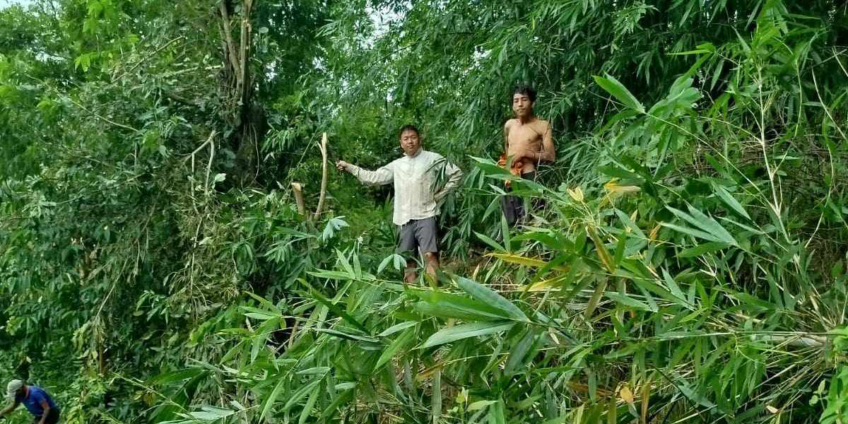 विद्युतीय जोखिम कम गर्न श्रमदानद्वारा झाडी हटाइँदै