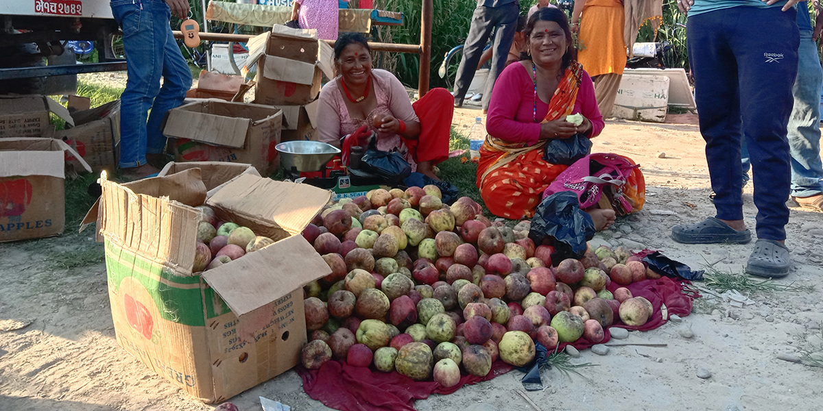 स्याउ बेचेरै हंशिलाले जोडिन् घरजग्गा