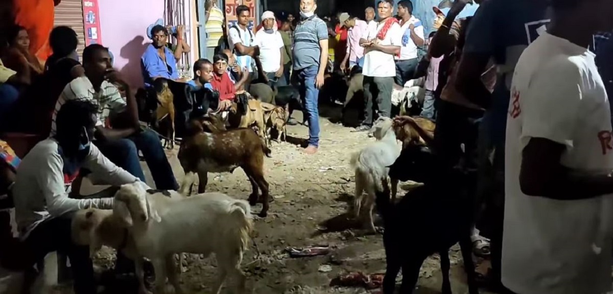 जनकपुरको राजदेवी मन्दिरमा  १५  हजार बोकाबलि