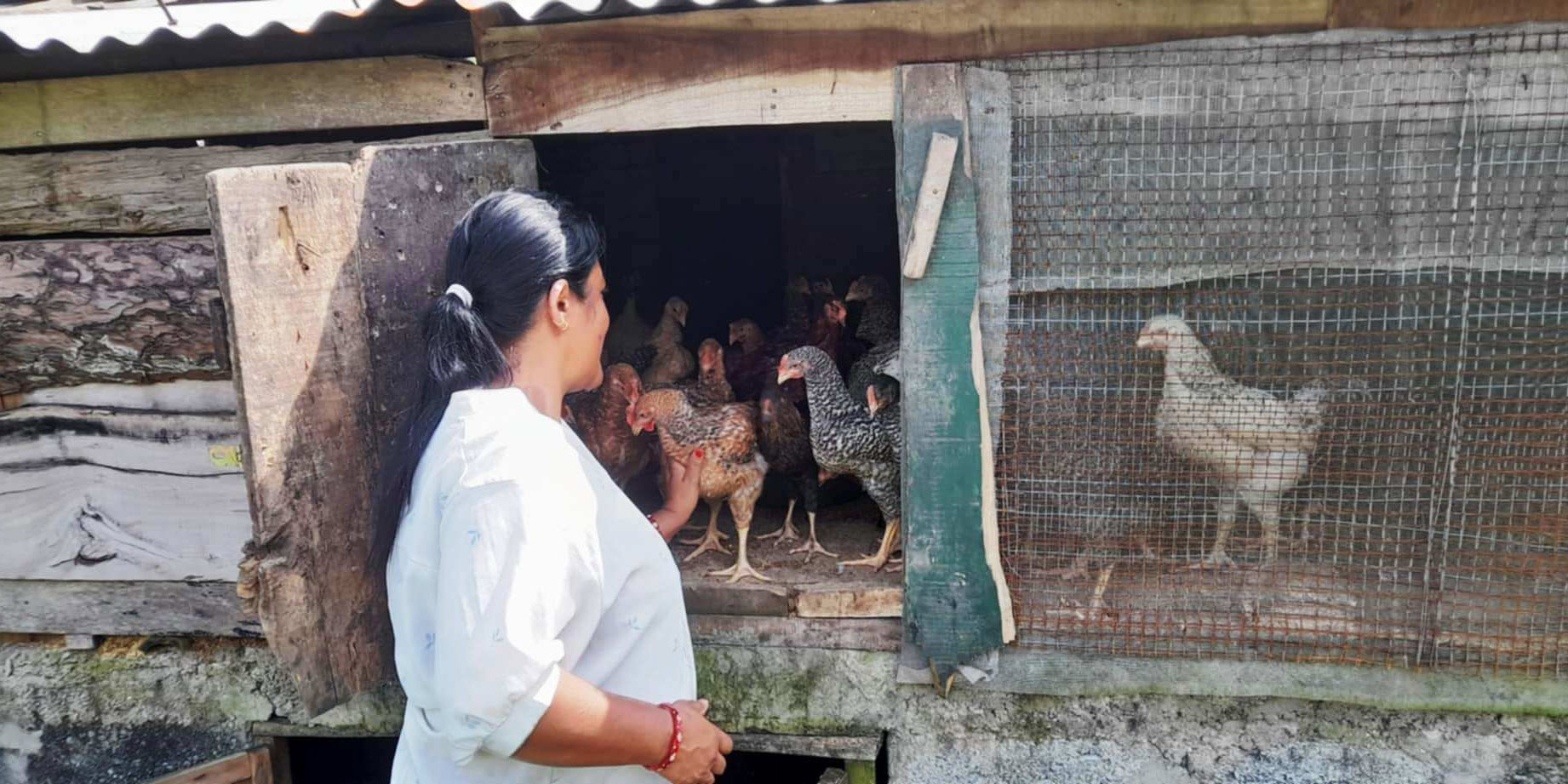 राजनीतिसँगै कृषि कर्म