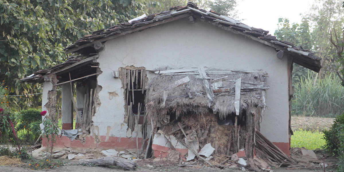 ‘जंगली हात्तीबाट धन्न बाँचियो’