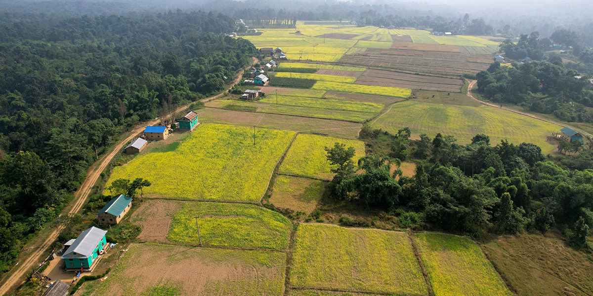 रज्जेमन्नामे गाउँ