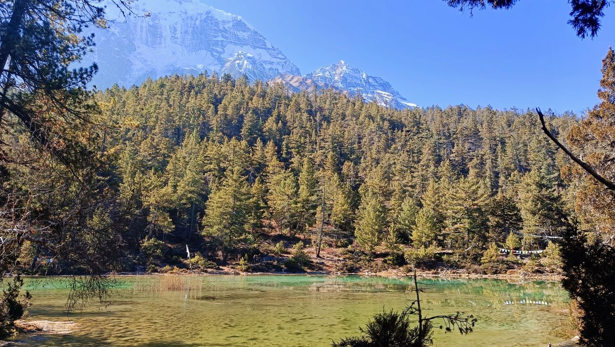 वनको बीचमा ताल, जहाँबाट देखिन्छ निलगिरि