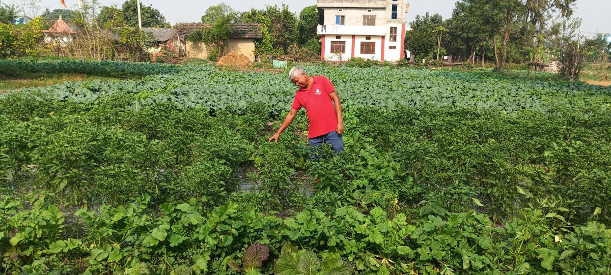 तरकारीबाटै चार लाख कमाइ