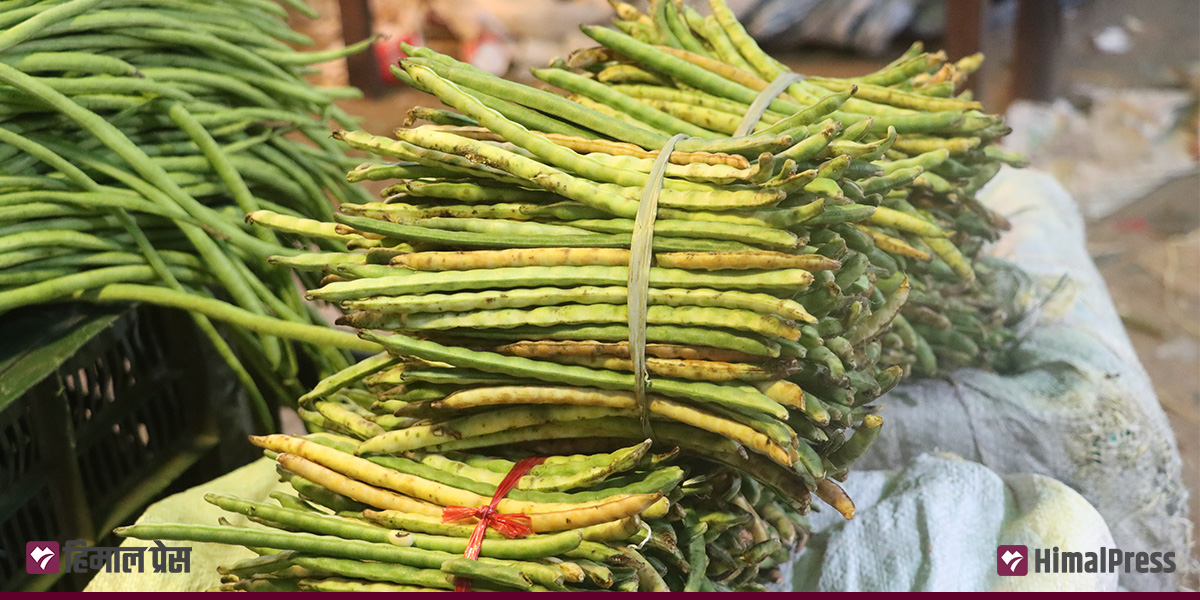 कालिमाटीमा तरकारीको मूल्य : बोडी ७० रुपैयाँ, करेला ३० रुपैयाँ [अरू कति?]