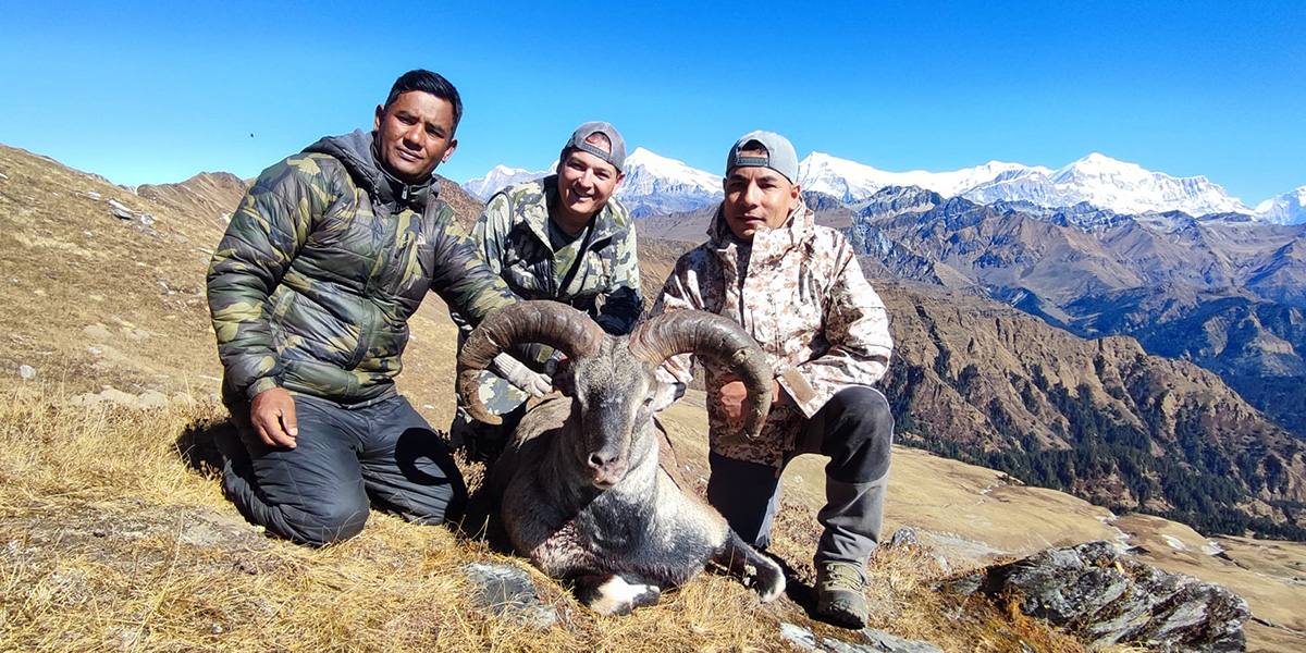 एकै याममा मारियो १० नाउर र ५ झारल