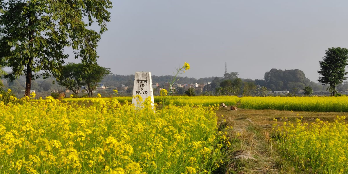 दशगजा वारिपारि पहेँलपुर तोरीबारी