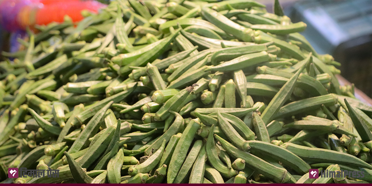 कालीमाटीमा तरकारीको मूल्यमा केही घटबढ, च्याउ र भिन्डी महँगो