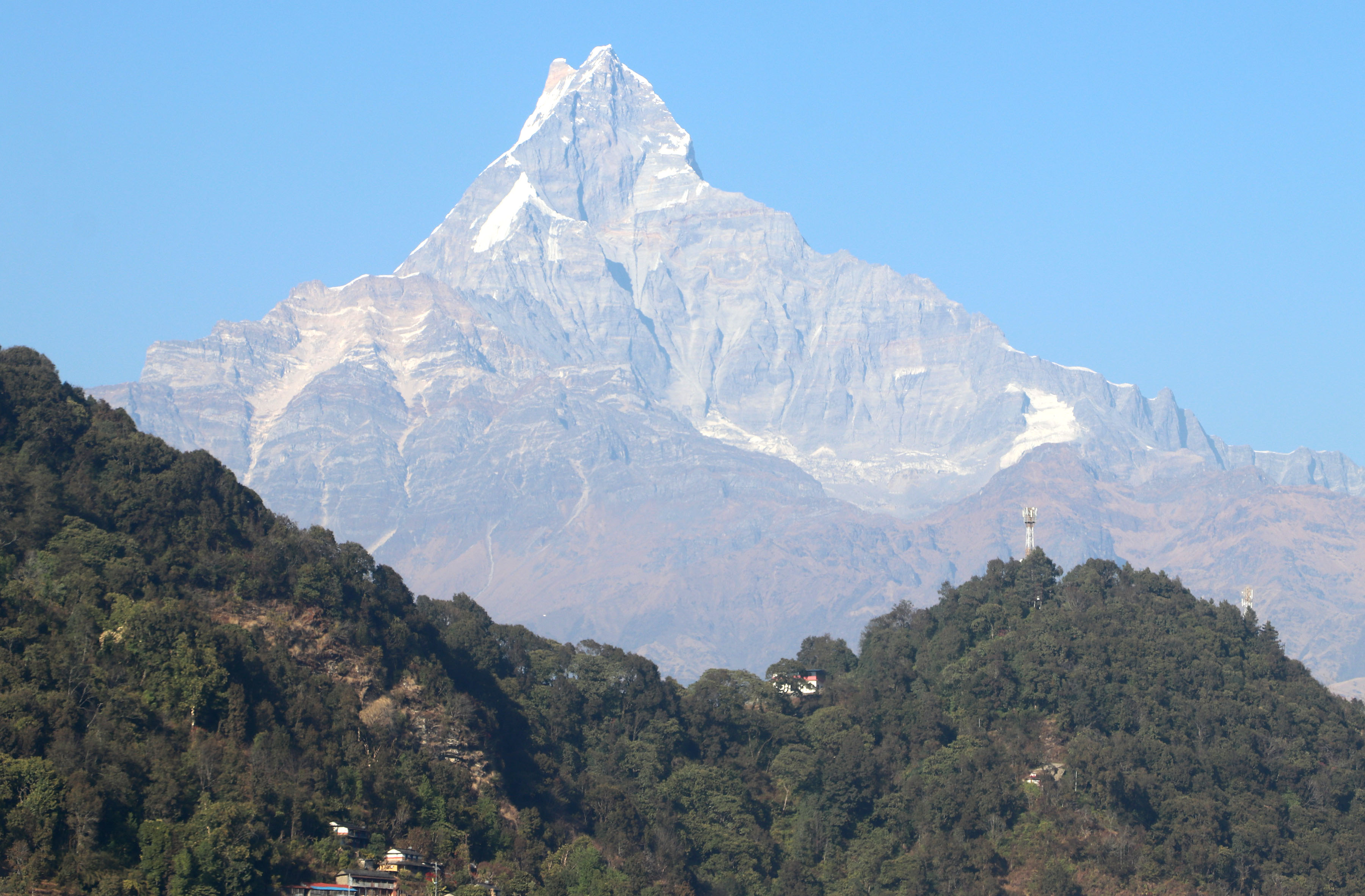 हिउँ खोजिरहेको माछापुच्छ्रे