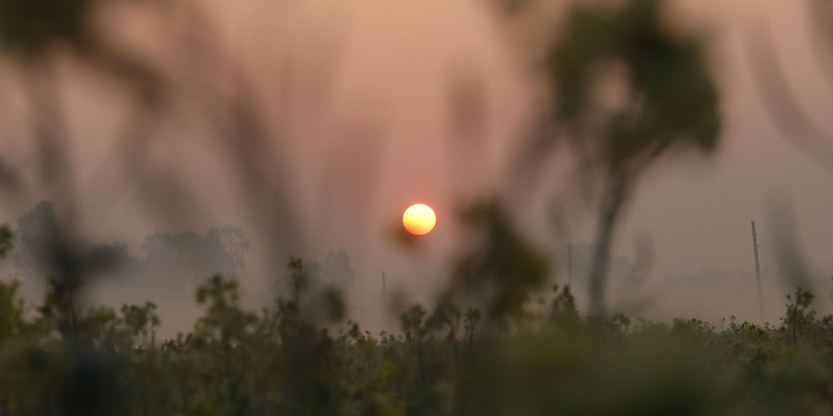 कुइँरोभित्र उदाउँदो सूर्य