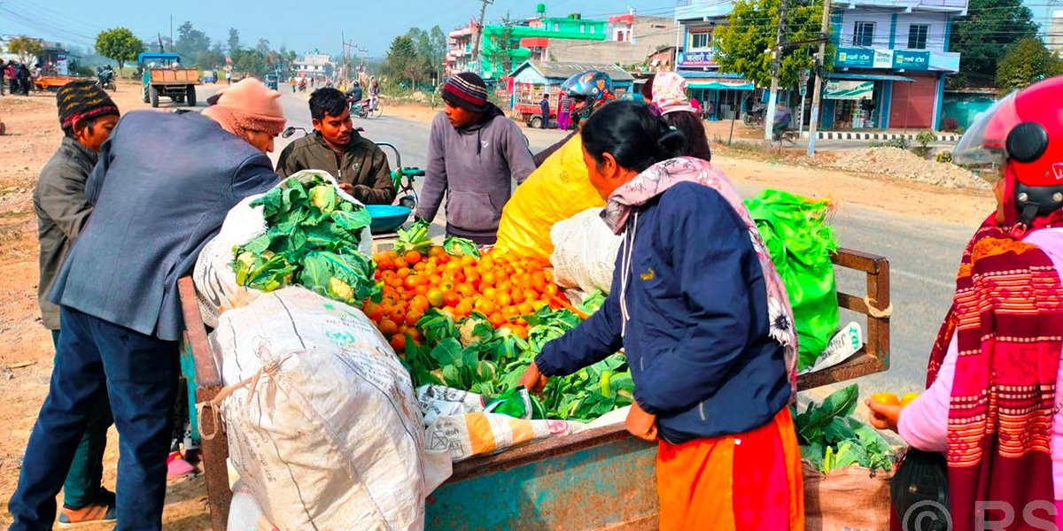 सडकमै बिक्छ तरकारी