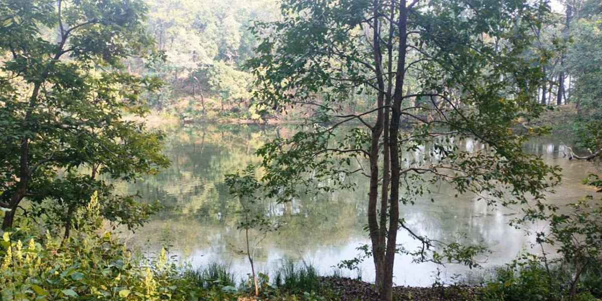 घना वनको बीचमा सुन्दर सुनदेवी ताल, प्रचारप्रसार नहुँदा ओझेलमा