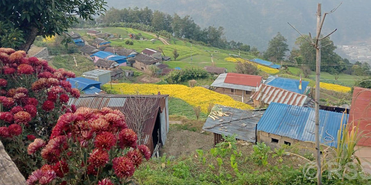 तामाङ घरबास