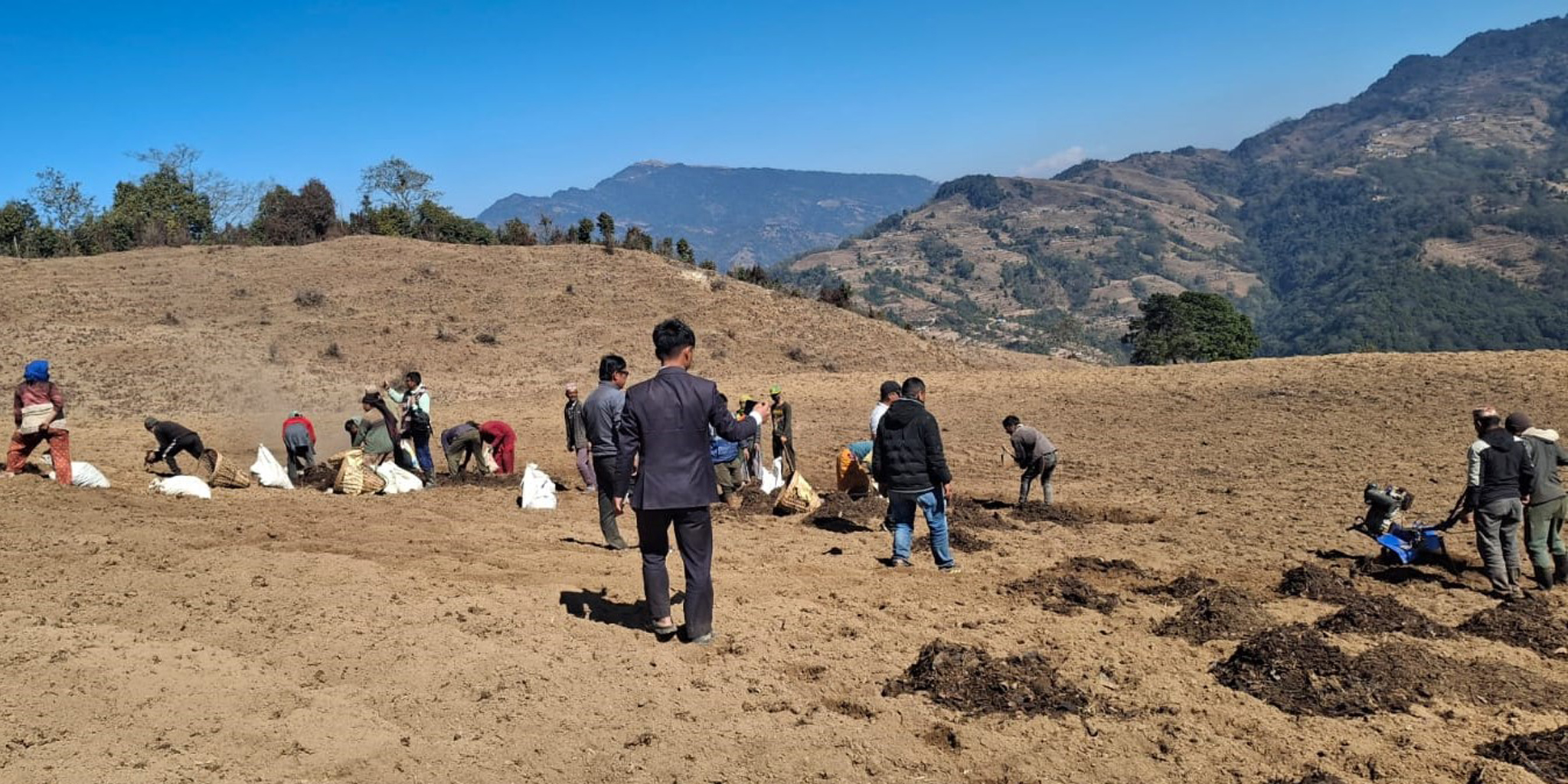 बाँझो जग्गामा सामूहिक आलुखेती