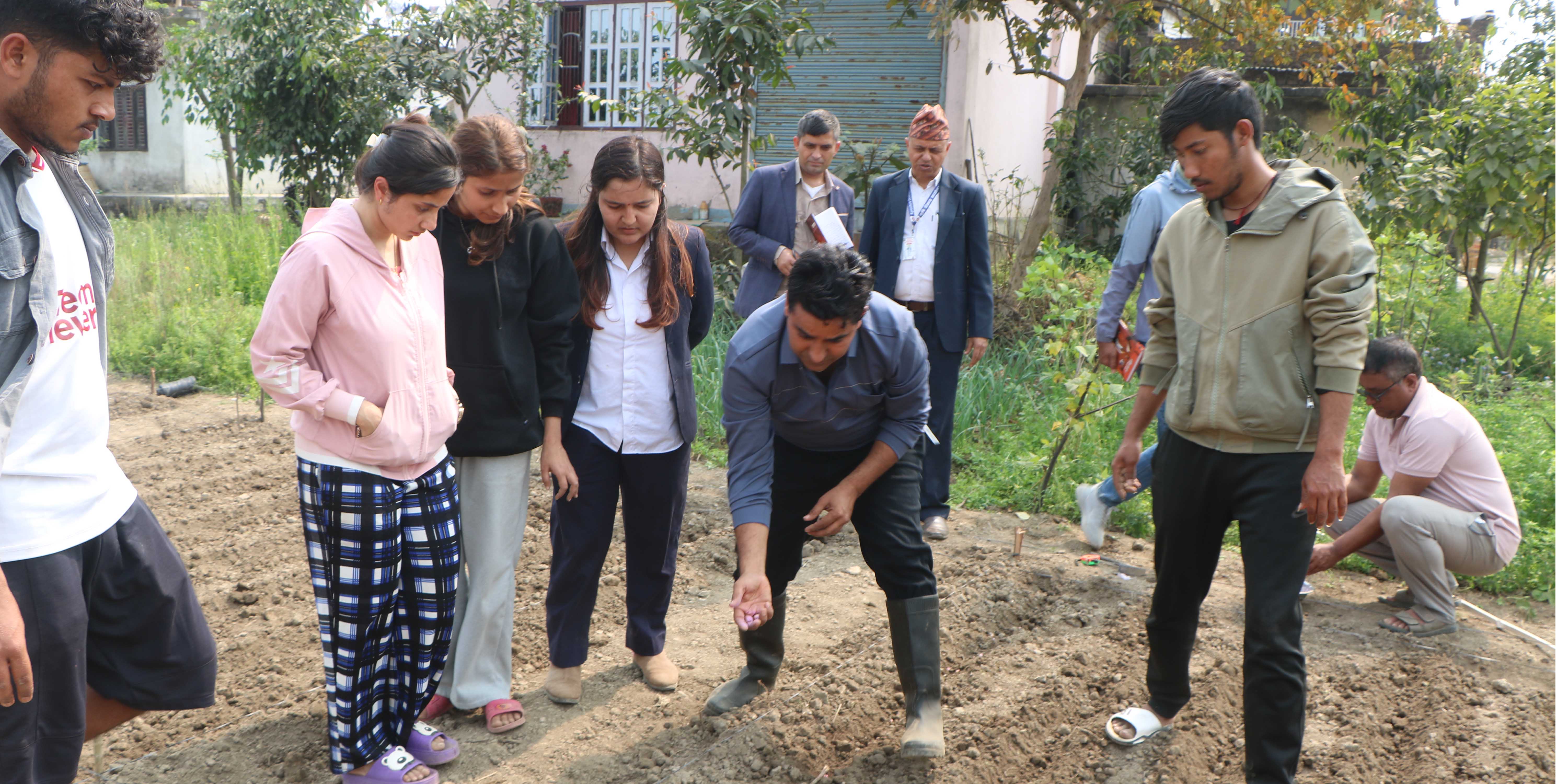 चितवनमा ‘बेबी कर्न’ को जातीय परीक्षण सुरु