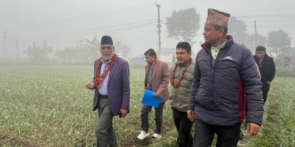 प्याजखेतीको अवलोकन गर्दै कृषिमन्त्रीले भने : धेरै विषादी प्रयोग नगर्नुहोस्