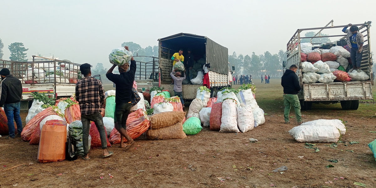 सुनसरीमा तरकारी व्यापार