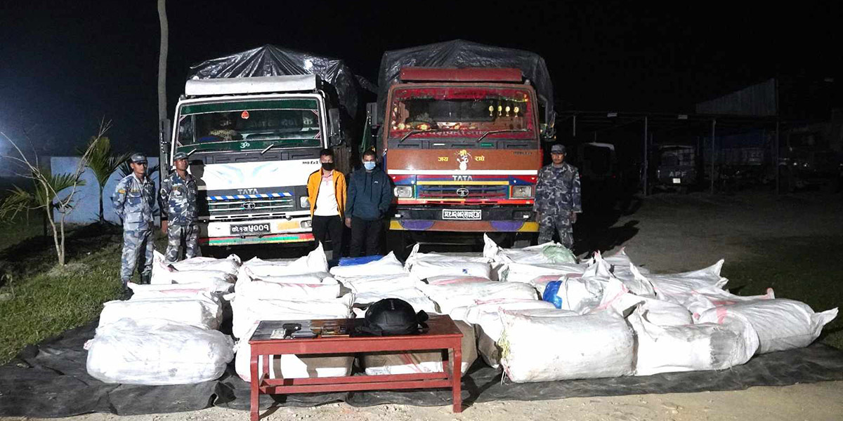 झापाबाट १६ सय ३६ किलो गाँजासहित दुई ट्रक सशस्त्र प्रहरीको नियन्त्रणमा 