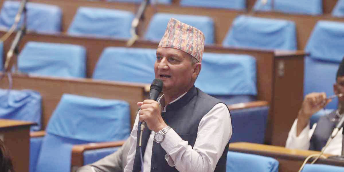 नीति तथा कार्यक्रममा नयाँ योजना छन्, पारित गर्नुको विकल्प छैन : सांसद मैनाली