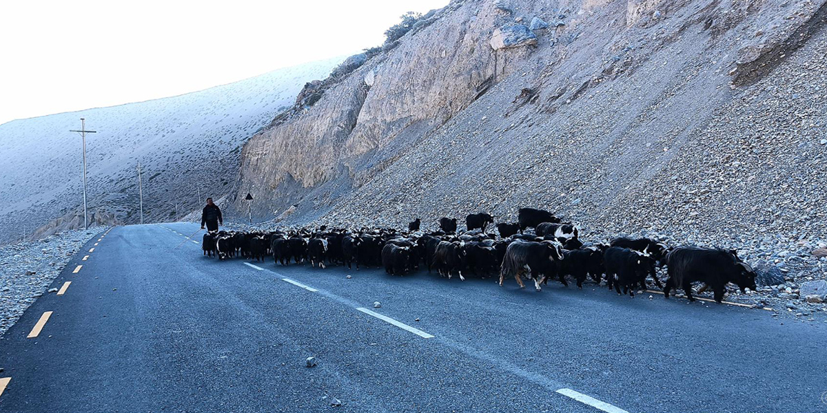 मुस्ताङका च्यांग्रा
