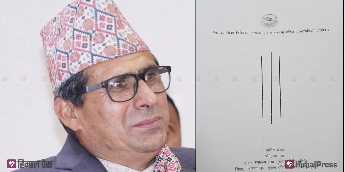 शिक्षक आन्दोलन, सहमति र शिक्षा विधेयक प्रतिवेदनमाथि महासंघको २८ टिप्पणी