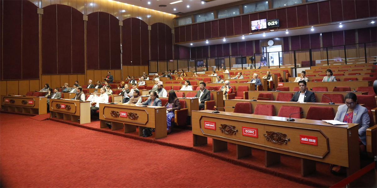 राष्ट्रियसभाबाट पनि नीति तथा कार्यक्रम पारित