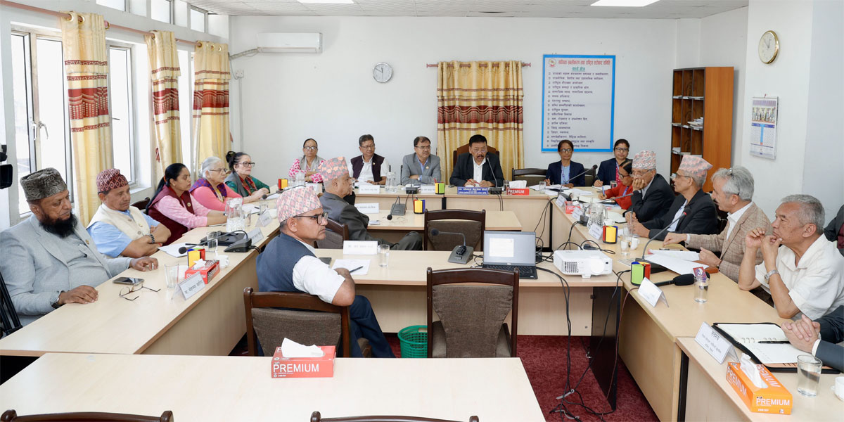 द्वन्द्वपीडितको अस्वभाविक दबाब स्वीकार्न सकिँदैन : अध्यक्ष थापा