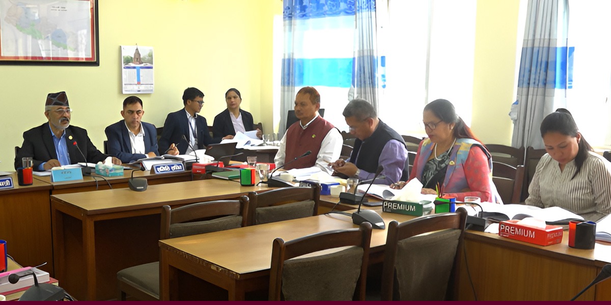 शिक्षा विधेयक : यस्ता छन् उपसमितिमा टुंगो लागेका महत्त्वपूर्ण विषयहरू