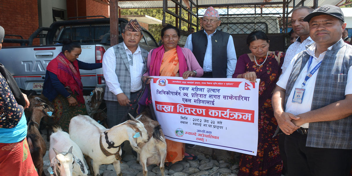 तनहुँमा एकल महिलालाई ७५ प्रतिशत अनुदानमा बाख्रा