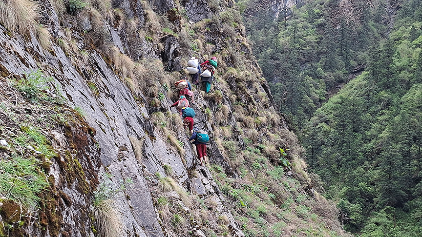 वन लसुनको खोजी