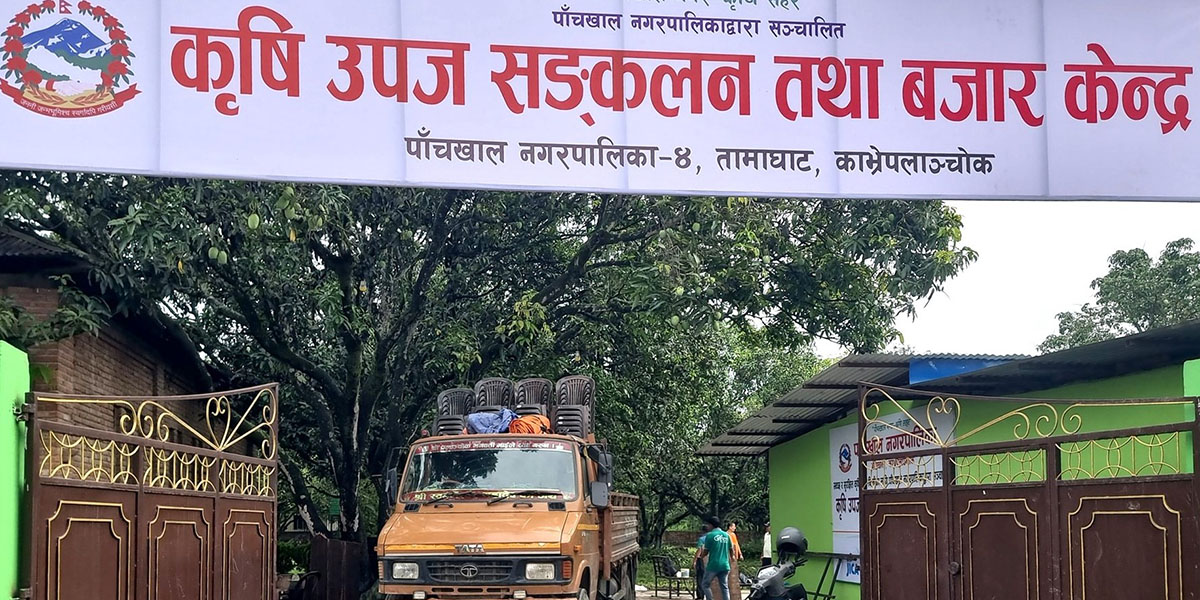 पाँचखालमा ‘विषादीरहित’ तरकारी संकलन केन्द्र सञ्चालन