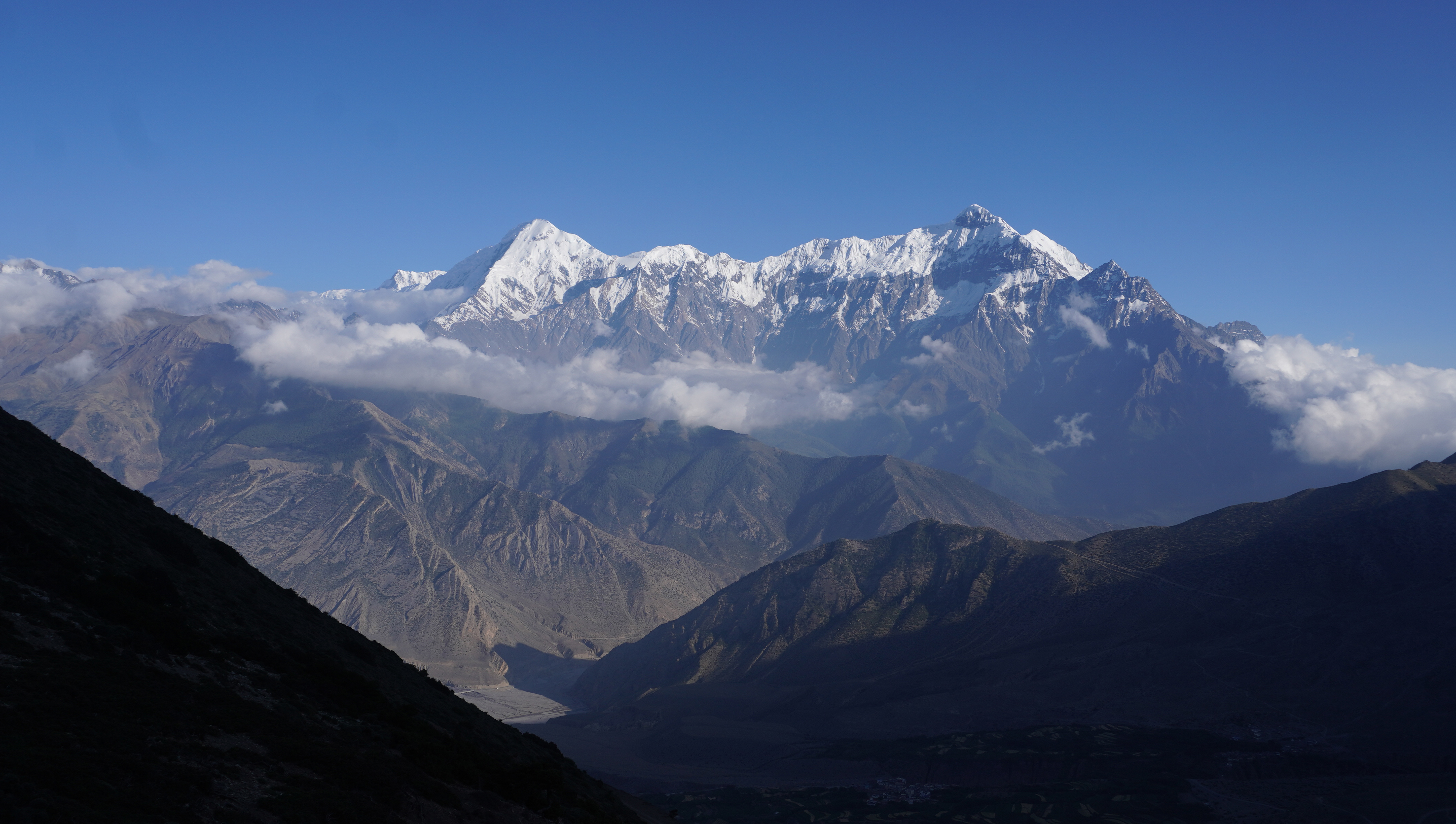 बादलको घुम्टोमा नीलगिरि