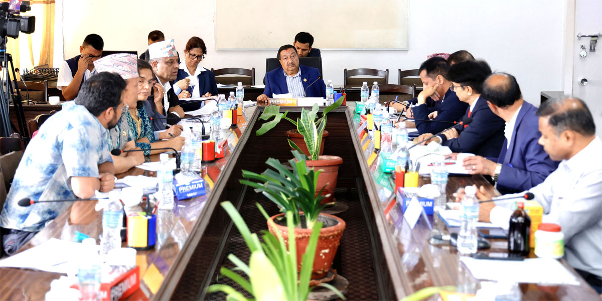 करका दायरामा उचित निर्णय लिन सरकारलाई निर्देशन